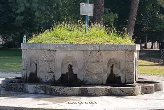 39821283_10212726580502808_7609323228233728000_n