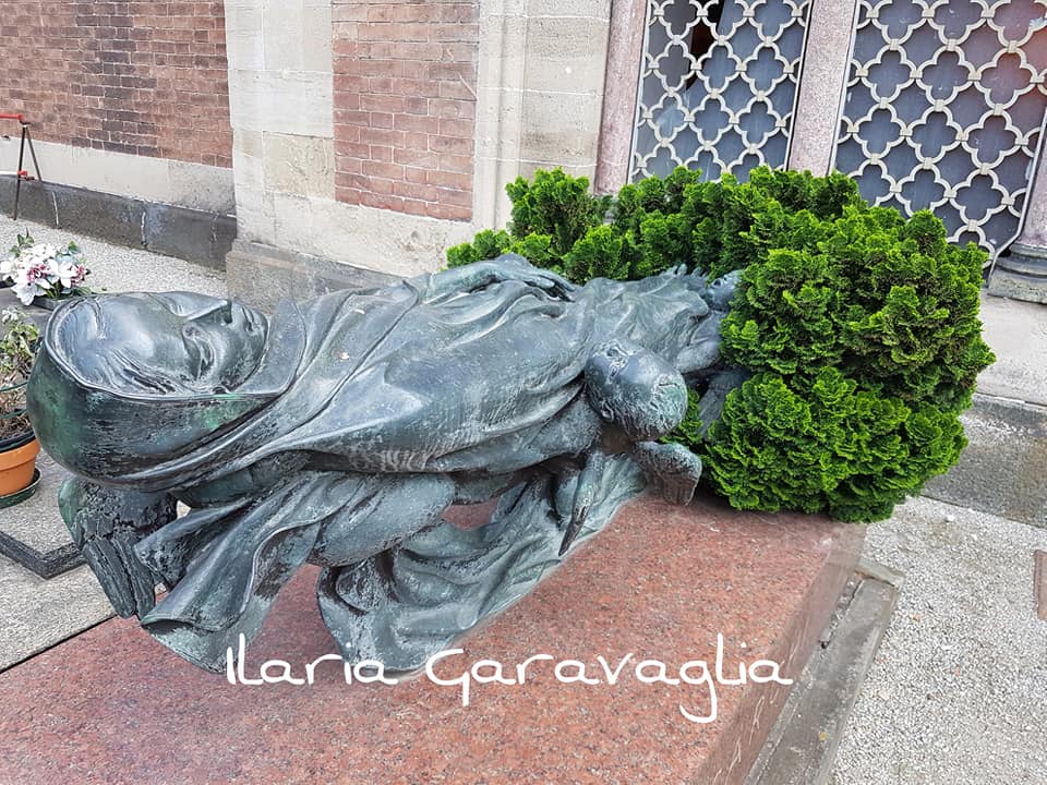 36363159_10212370330676785_9049660705883553792_n