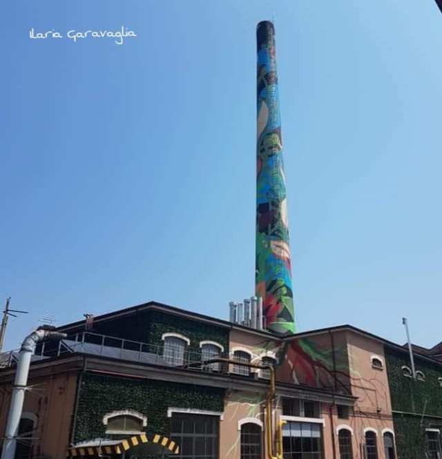 38478710_10212616256304772_6710770878264639488_n