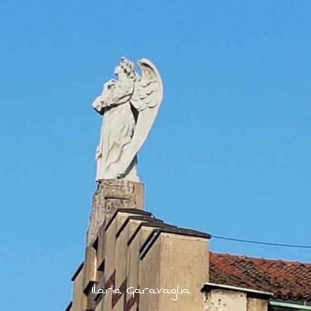 74272994_10215715277978377_2932417384092270592_o