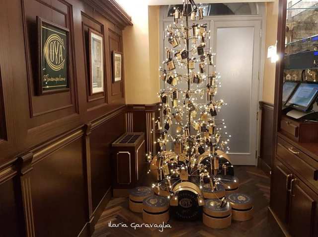 45340745_10213251335061344_3149100807752777728_n