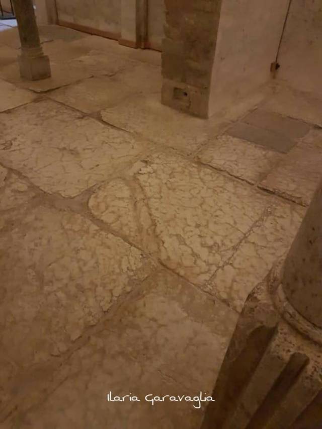 101003717_10217448726393504_1480941647494643712_o