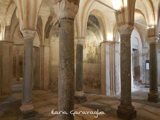 101377965_10217448747594034_4814112169299804160_o