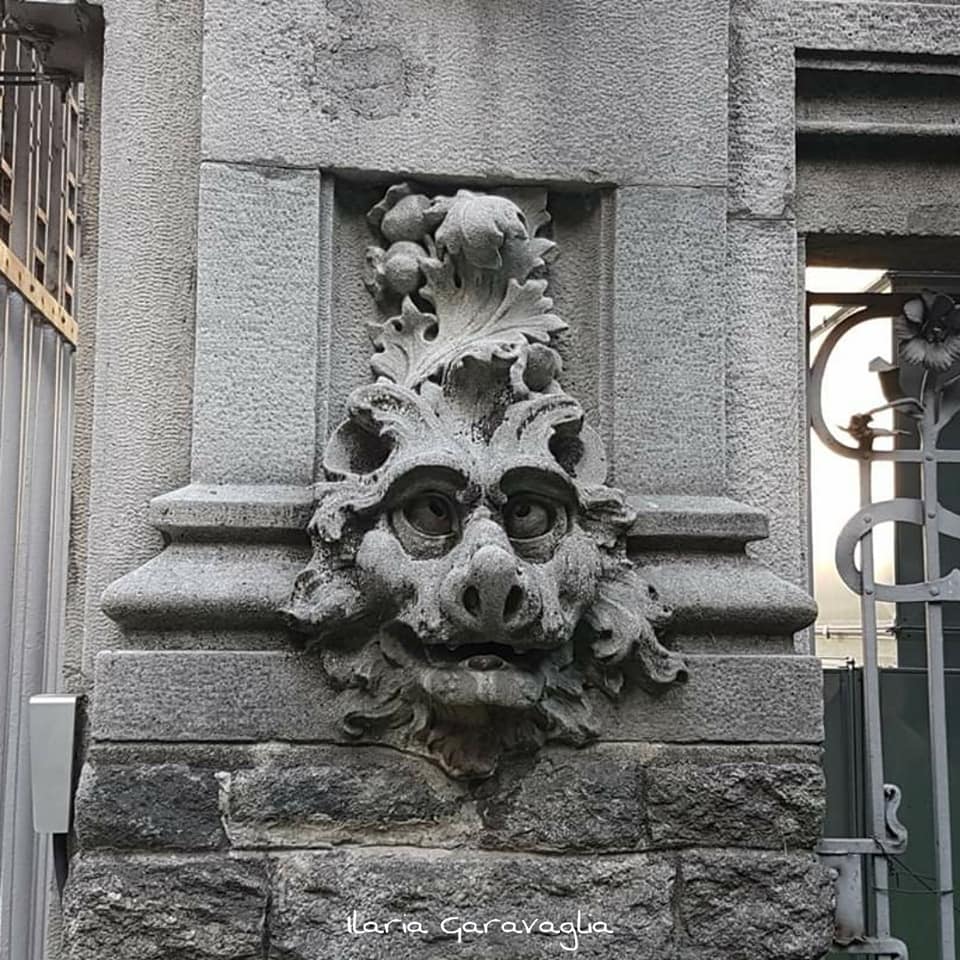 95587654_10217220569649728_4111370749904683008_n