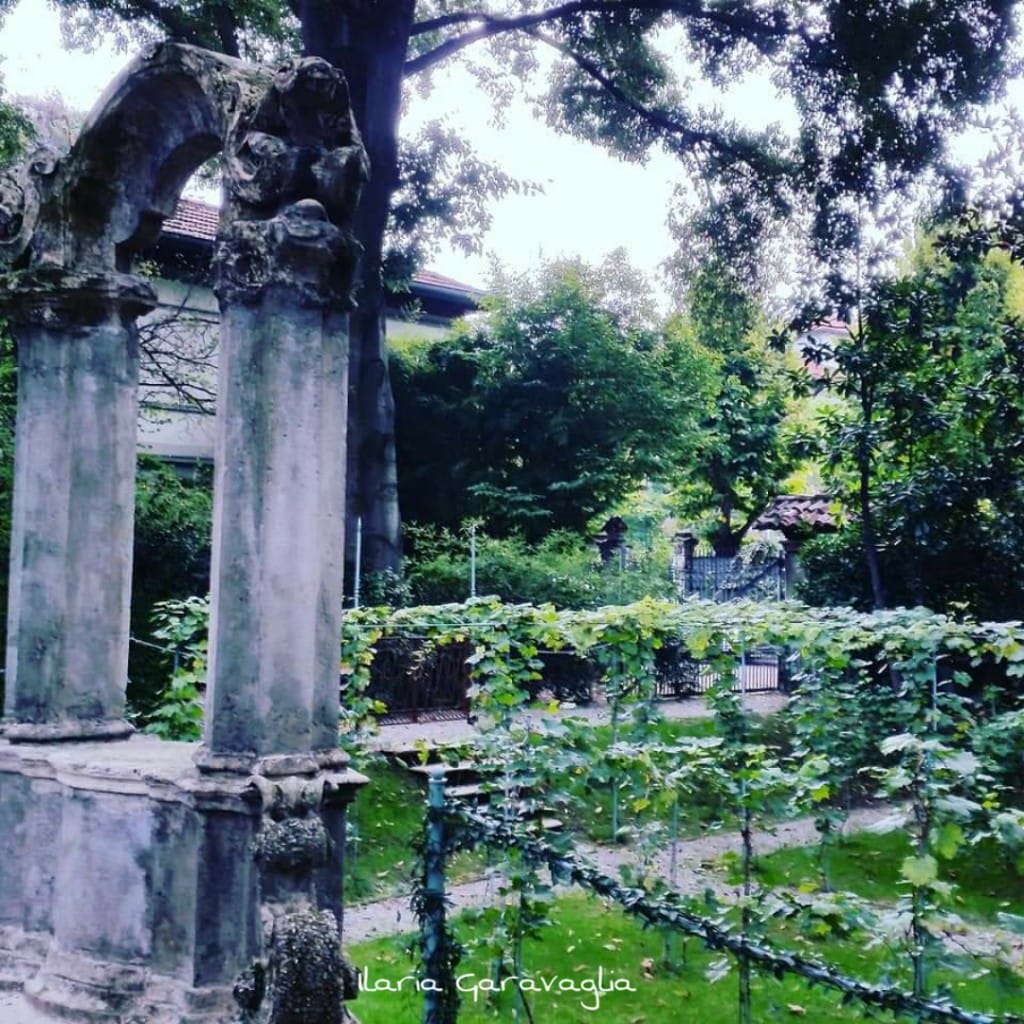 96781779_10217318232411236_1054093911988895744_o