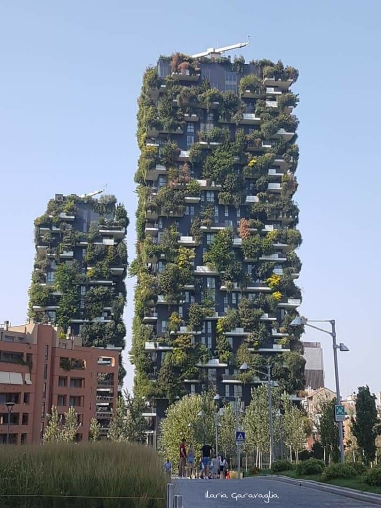 97990789_10217358187930099_998982016928055296_o