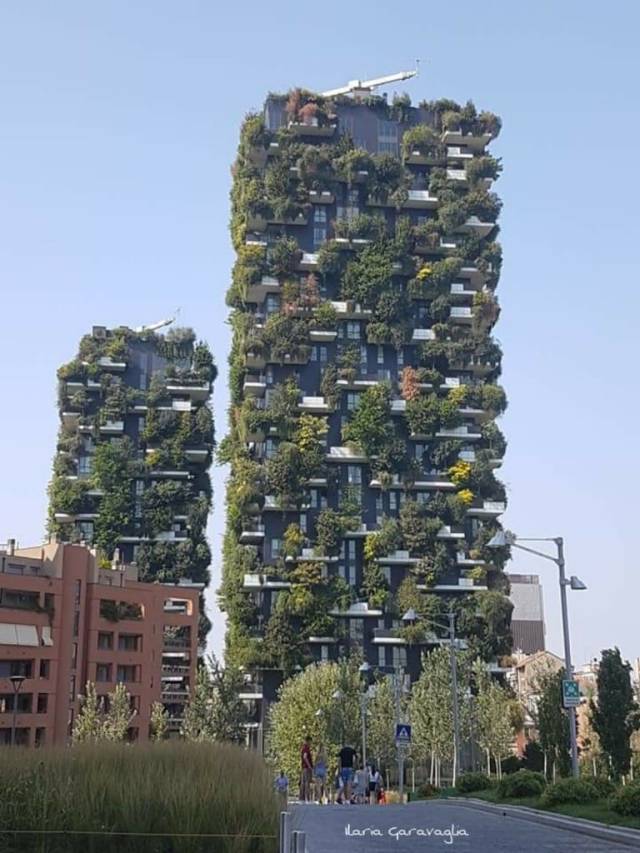 97990789_10217358187930099_998982016928055296_o