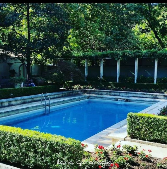 100602517_10217457951544127_2031905588438368256_o