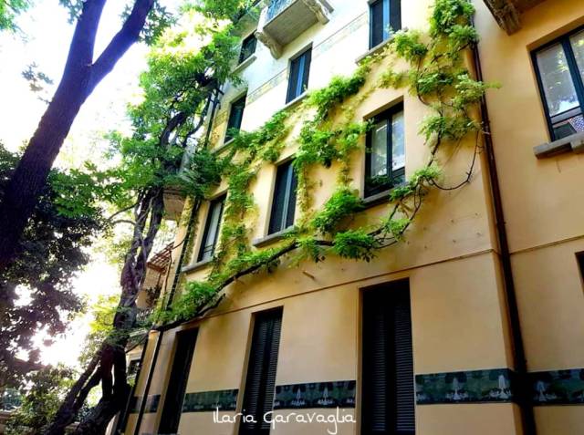 98887965_10217396407765571_1393860378114392064_o