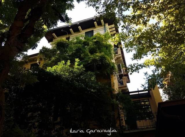 99296953_10217396737653818_8516156846380154880_o