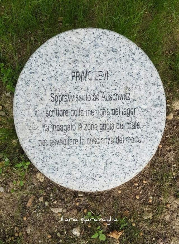 73495075_10215715451102705_6300418544479764480_o