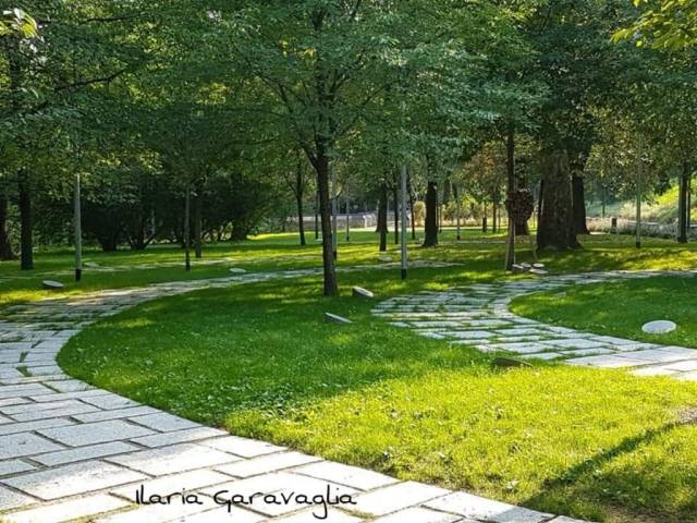 75339655_10215715284578542_8780659143129169920_o