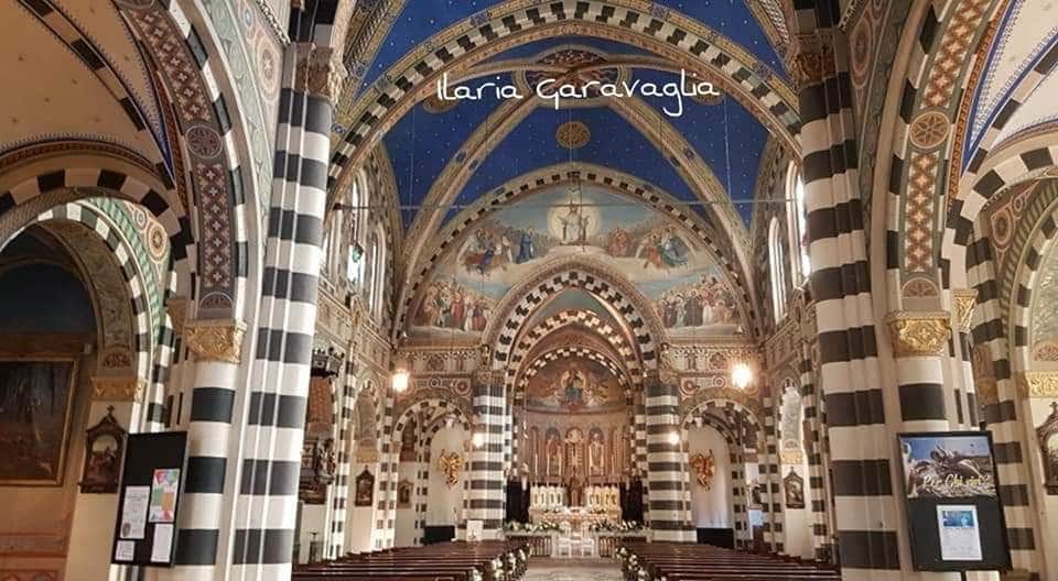 117110986_10218018736883410_5390757399241007493_n