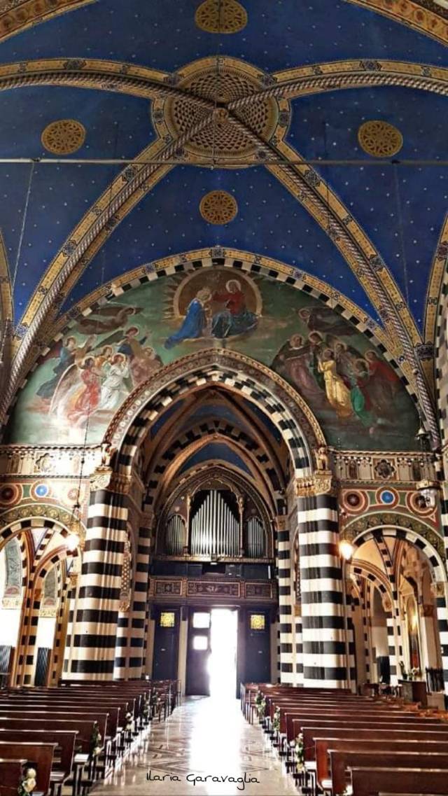 44894473_10213204987622687_5057565269417787392_o