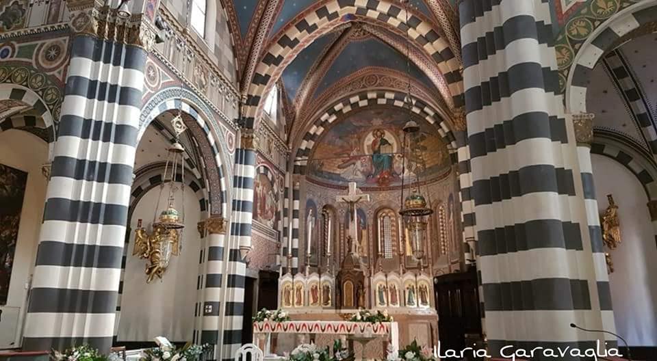 44971968_10213204948101699_5175365377554644992_n