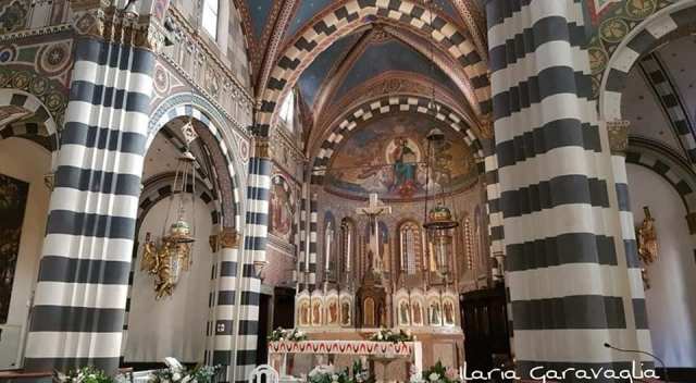 44971968_10213204948101699_5175365377554644992_n